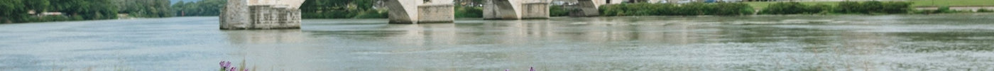 Discover Avignon: The Heart of Provence - Calico Link