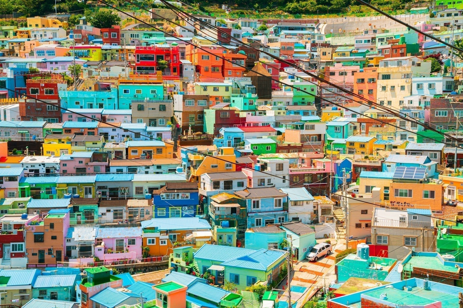 2026 South Korea Spring Guide: Beyond the Cherry Blossom Hype - Calico Link