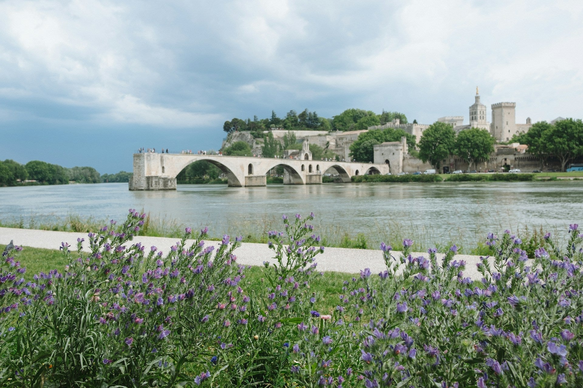 Discover Avignon: The Heart of Provence - Calico Link