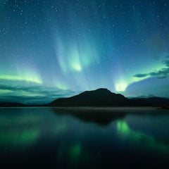 Nordic Travel eSIM - Calico Link