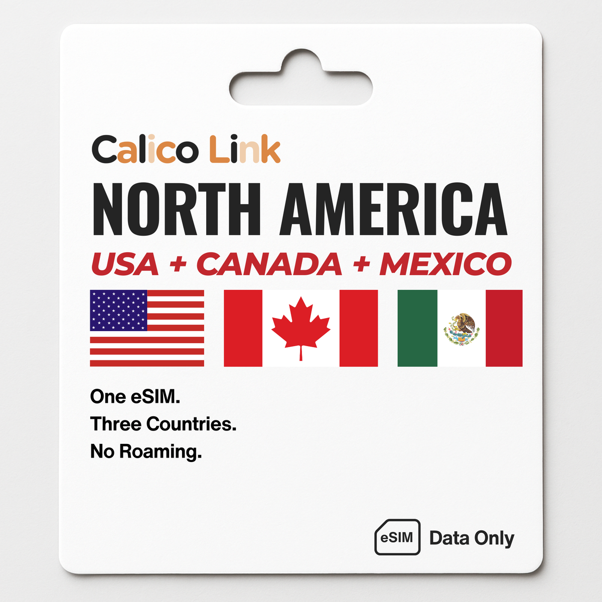 America, Canada, Mexico Travel Bundle